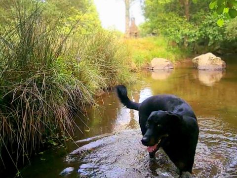 Camping Maeva Escapade Les Trois Sources - Camping Lot - Image N°31