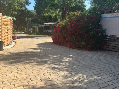 Camping le Pre Saint Andre - Camping Gard - Image N°17