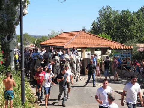 Camping le Pre Saint Andre - Camping Gard - Image N°13