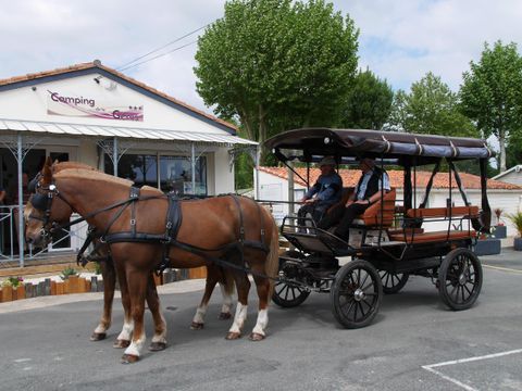 Camping Maeva Escapades de La Geres - Camping Charente-Maritime - Image N°38