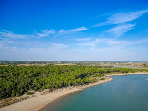 Camping Sun Océan  - Camping Vendée - Image N°32