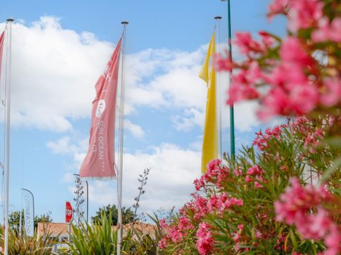 Camping Sun Océan  - Camping Vendée - Image N°40