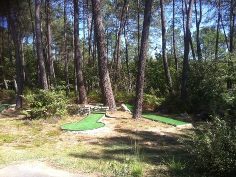 Camping Domaine des Grands Pins  - Camping Dordogne - Image N°24