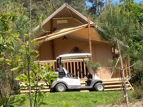 Camping Domaine des Grands Pins  - Camping Dordogne - Image N°10