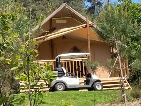 Domaine des Grands Pins  - Camping Dordogne - Image N°31
