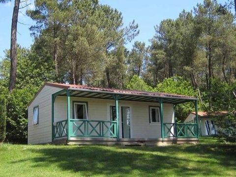 Domaine des Grands Pins  - Camping Dordogne - Image N°17