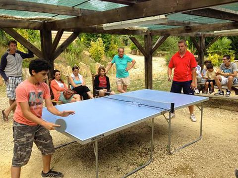 Camping Domaine des Grands Pins  - Camping Dordogne - Image N°21