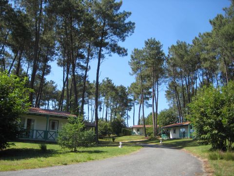 Camping Domaine des Grands Pins  - Camping Dordogne - Image N°32