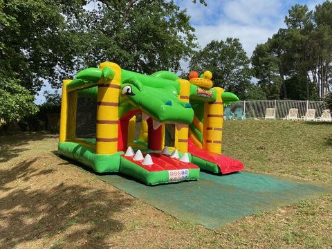Camping Domaine des Grands Pins  - Camping Dordogne - Image N°17