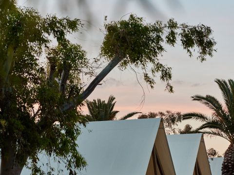 Tente en toile et en bois 2 personnes - Glamping Cabin-Tent Senyoret
