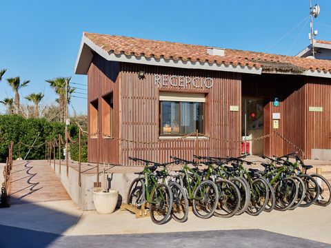 Camping Taiga Delta de l'Ebre - Camping Tarragone - Image N°5