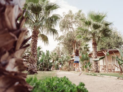 Camping Taiga Delta de l'Ebre - Camping Tarragone - Image N°15