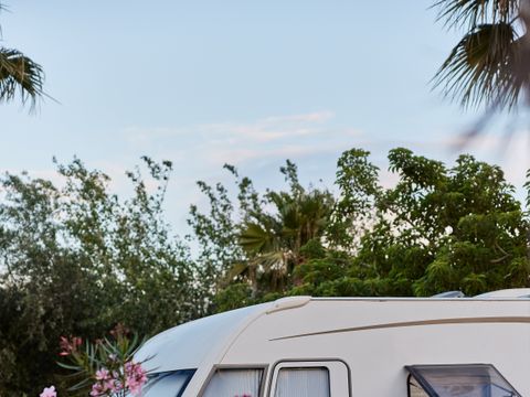 Camping Taiga Delta de l'Ebre - Camping Tarragone - Image N°66