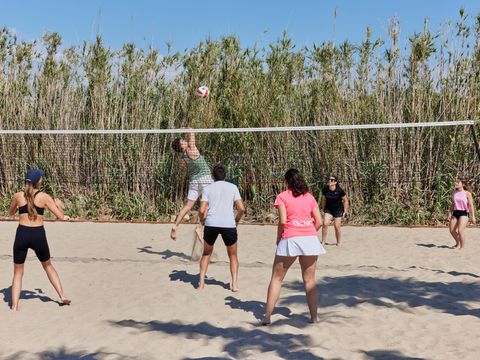 Camping Taiga Delta de l'Ebre - Camping Tarragone - Image N°55