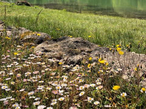 Camping maeva Escapades La Castillonderie - Camping Dordogne - Image N°22