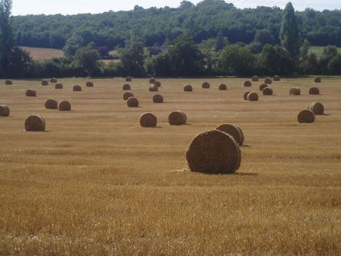 Camping Du Lac de Thoux - Ciela Village - Camping Gers - Image N°36