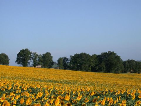 Camping Du Lac de Thoux - Ciela Village - Camping Gers - Image N°43