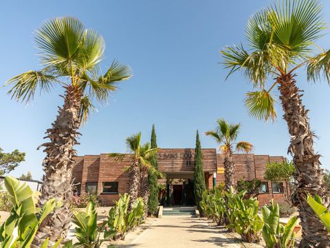 Camping les Dunes Camping les Dunes - Camping Pyrénées-Orientales - Image N°13