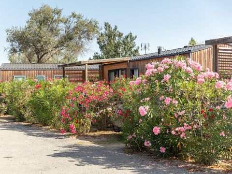 Camping les Dunes Camping les Dunes - Camping Pyrénées-Orientales - Image N°16