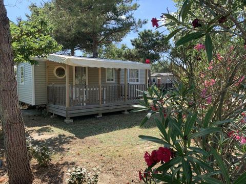 Mobilhome 6 personnes - C- Mobil-home Baltique - 3 chambres