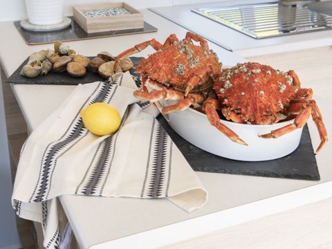 MOBILHOME 4 personnes - Castel Palace**** Sans terrasse