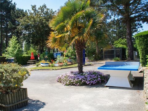 Camping Paradis Les Capucines - Camping Côtes-d'Armor - Image N°13