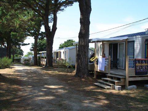 Camping Paradis Les Capucines - Camping Côtes-d'Armor - Image N°40