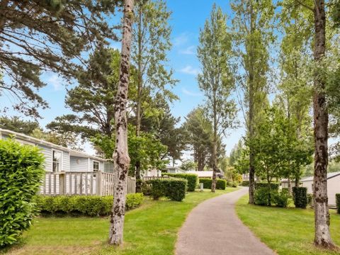 Camping Paradis Les Capucines - Camping Côtes-d'Armor - Image N°21