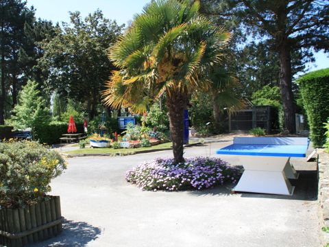 Camping Paradis Les Capucines - Camping Côtes-d'Armor - Image N°16