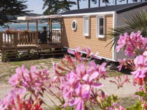 MOBILHOME 4 personnes - Homard MOBILHOME 4 personnes - Homard