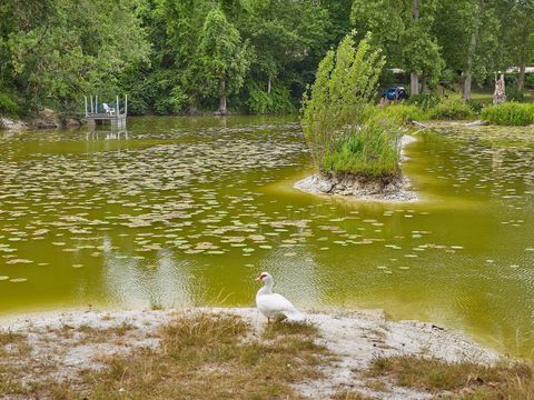 Camping Le Parc des Allais - Camping Indre-et-Loire - Image N°20