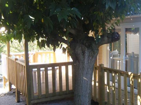 MOBILHOME 6 personnes - RIVIERA 3