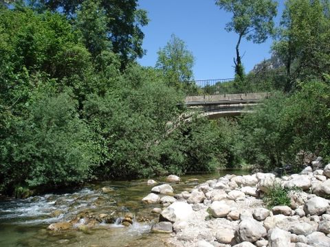 Camping Les Rives du Loup  - Camping Alpes-Maritimes - Image N°59