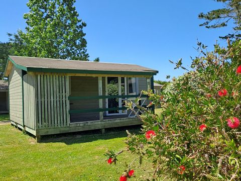 CHALET 5 personnes - Chalet L 'ABEILLE 2 chambres 29m² 2002