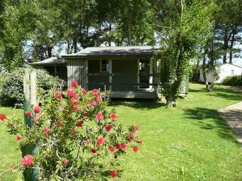 CHALET 5 personnes - Chalet L 'ABEILLE 2 chambres 29m² 2002