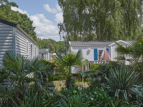 Camping Marvilla Parks La Pommeraie de l'Océan - Camping Finistère - Image N°13