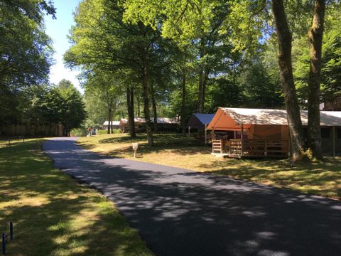 BUNGALOW TOILÉ 5 personnes - Freeflower Standard 37m² (2 chambres) + terrasse couverte 13m² 5 pers