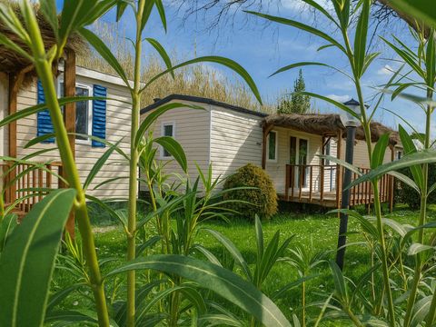 Mobilhome 2 personnes - Blue