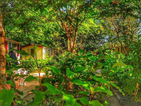 MOBILHOME 6 personnes - Mobil home Relax Pet 24mq