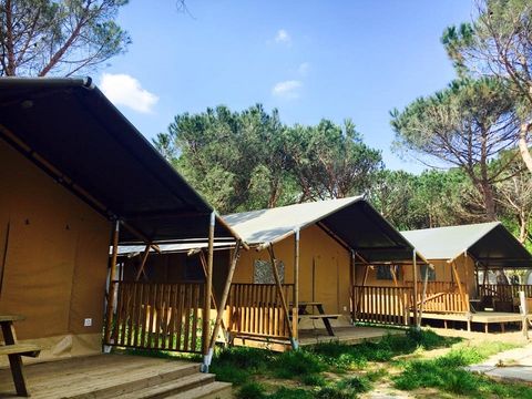TENTE 4 personnes - Safari Lodge TENTE 4 personnes - Safari Lodge