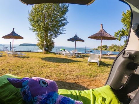Camping Punta Navaccia  - Camping Pérouse - Image N°8