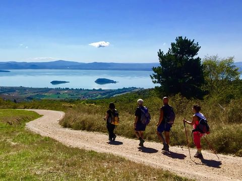 Camping Punta Navaccia  - Camping Pérouse - Image N°50