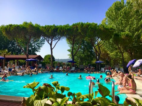 Camping Punta Navaccia  - Camping Pérouse - Image N°17