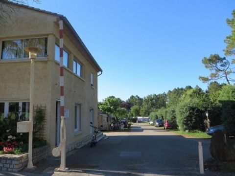 La Rouvière les pins - Camping Ardèche - Image N°13