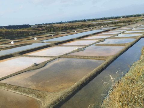 Camping Le Roc  - Camping Vendée - Image N°18