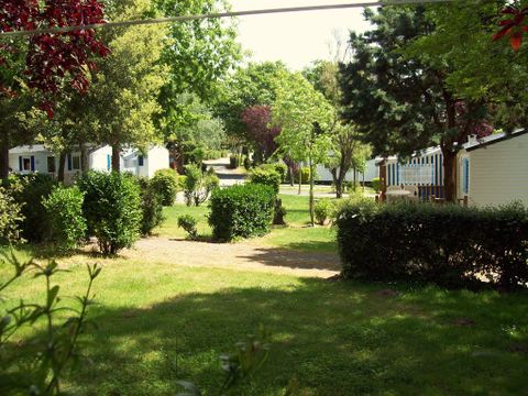 Camping Le Roc  - Camping Vendée - Image N°3
