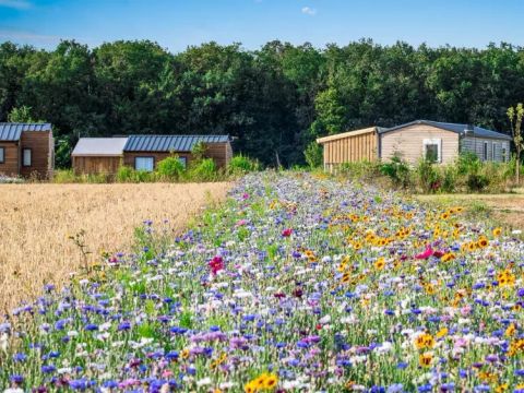 Camping Ferme Pedagogique de Prunay - Camping Loir-et-Cher - Image N°9
