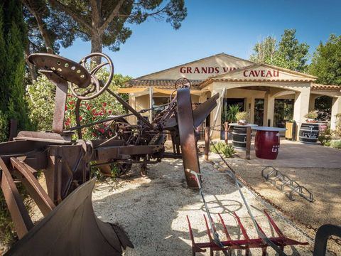 Camping Domaine de La Yole - Camping Hérault - Image N°12