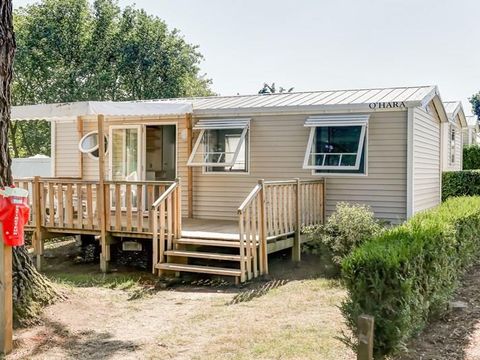 MOBILHOME 6 personnes - Mobil-home STANDARD 31 m² (3 chambres) + Terrasse semi-couverte