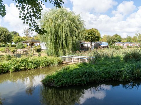 Flower Camping Le Nauzan Plage  - Camping Charente-Maritime - Image N°43